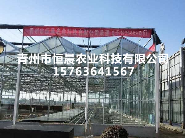 玻璃温室河北工地