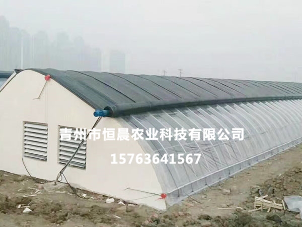 単拱温室