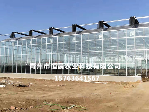 阳光板温室