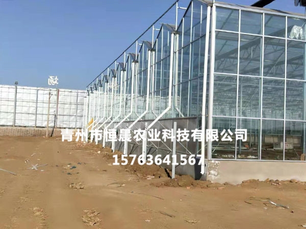 阳光板温室