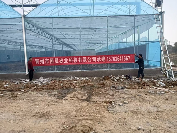 薄膜连栋温室湖北工地